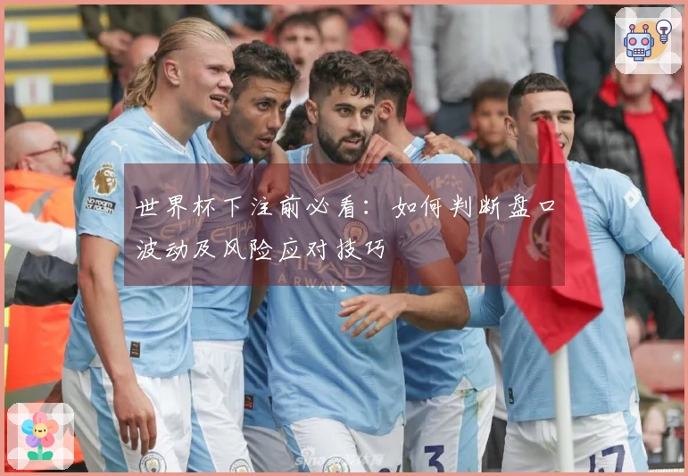世界杯下注前必看：如何判断盘口波动及风险应对技巧