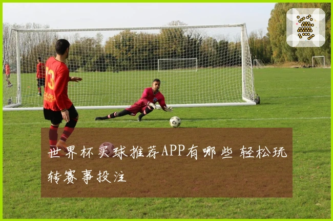 世界杯买球推荐APP有哪些 轻松玩转赛事投注