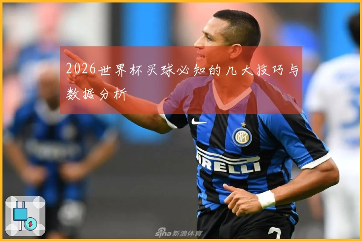 2026世界杯买球必知的几大技巧与数据分析