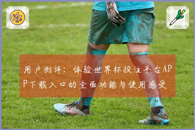 用户测评：体验世界杯投注平台APP下载入口的全面功能与使用感受