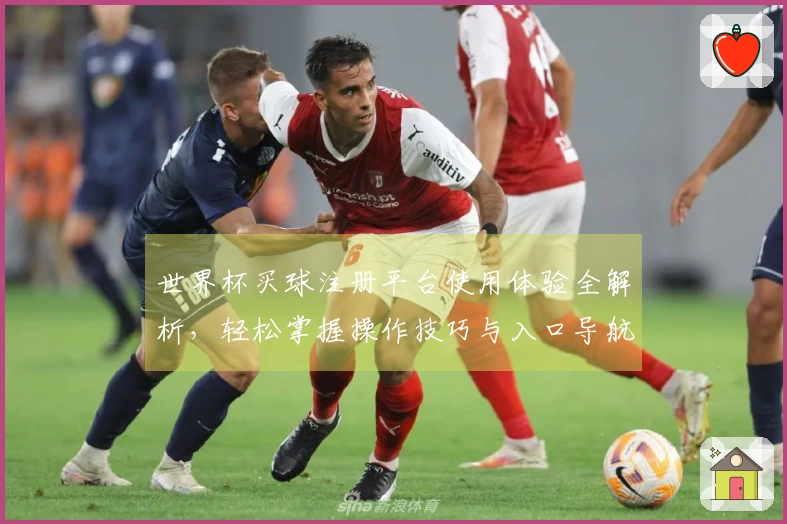 世界杯买球注册平台使用体验全解析，轻松掌握操作技巧与入口导航