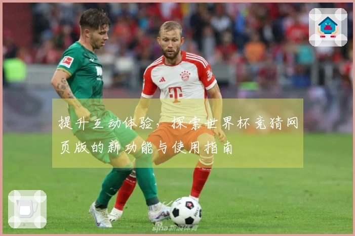 提升互动体验，探索世界杯竞猜网页版的新功能与使用指南