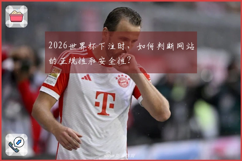 2026世界杯下注时，如何判断网站的正规性和安全性？