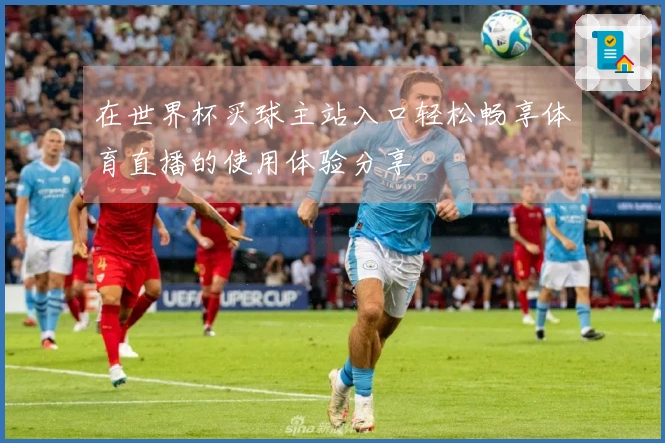 在世界杯买球主站入口轻松畅享体育直播的使用体验分享