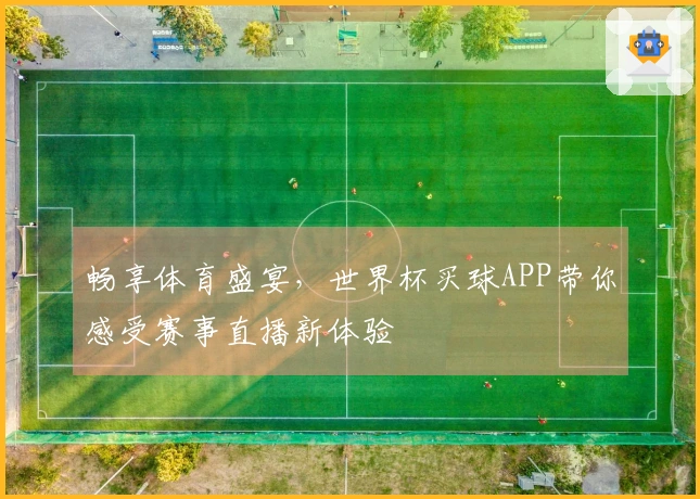 畅享体育盛宴，世界杯买球APP带你感受赛事直播新体验