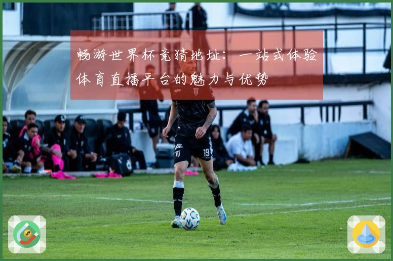 畅游世界杯竞猜地址：一站式体验体育直播平台的魅力与优势