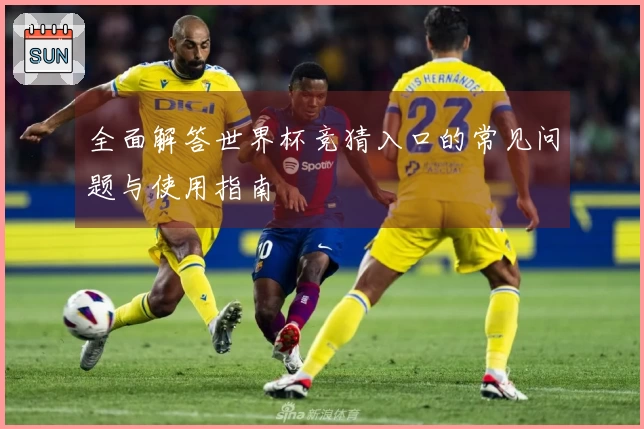 全面解答世界杯竞猜入口的常见问题与使用指南