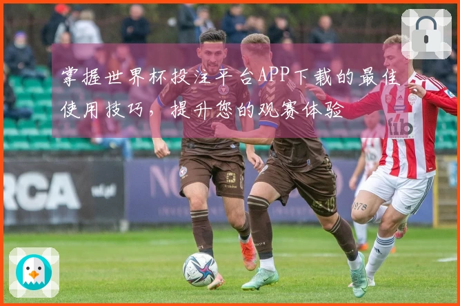 掌握世界杯投注平台APP下载的最佳使用技巧，提升您的观赛体验