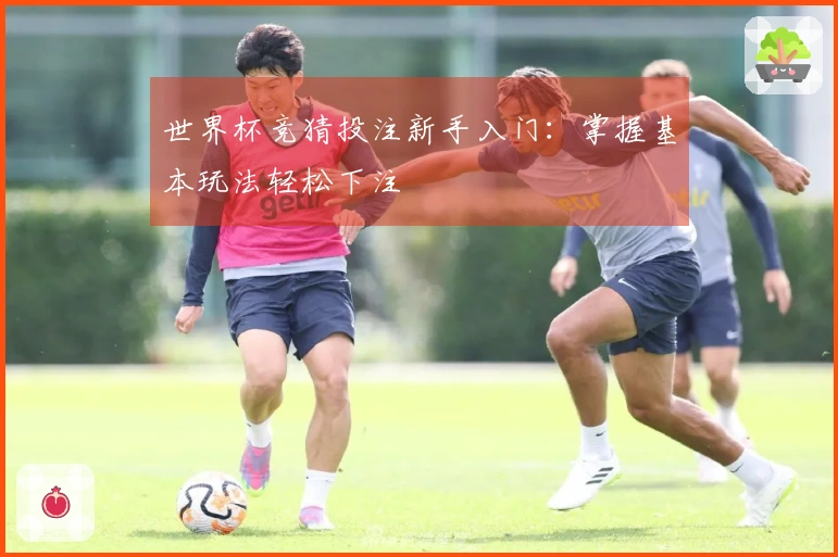 世界杯竞猜投注新手入门：掌握基本玩法轻松下注