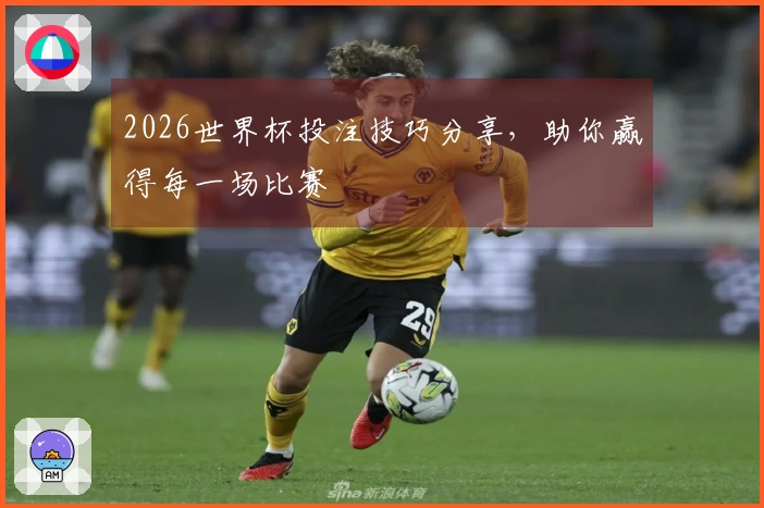 2026世界杯投注技巧分享，助你赢得每一场比赛