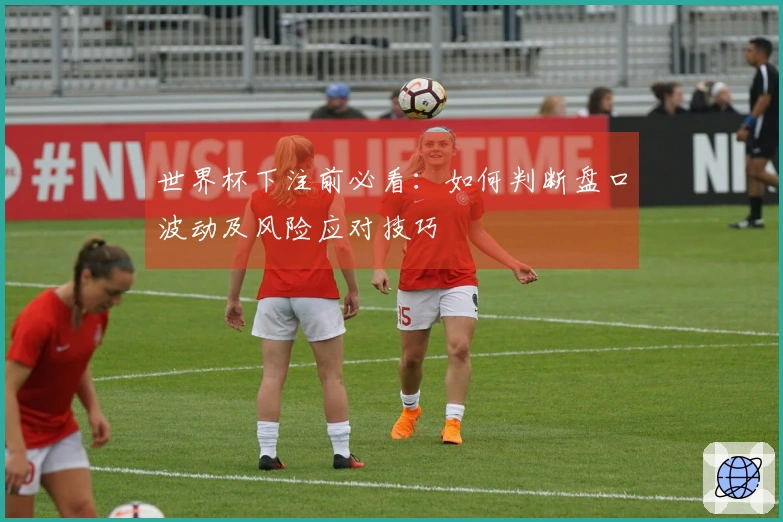 世界杯下注前必看：如何判断盘口波动及风险应对技巧